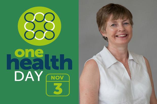 One Health is integral to APHA science: blog