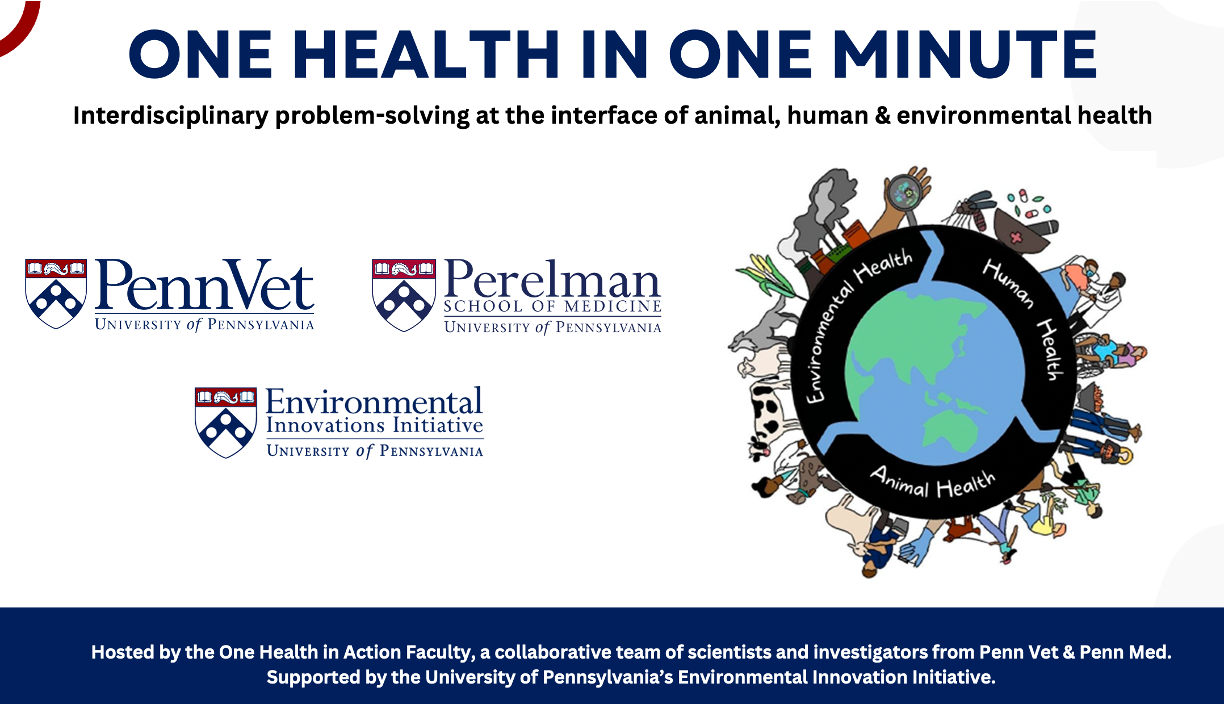 One Health in One Minute Flash Talks