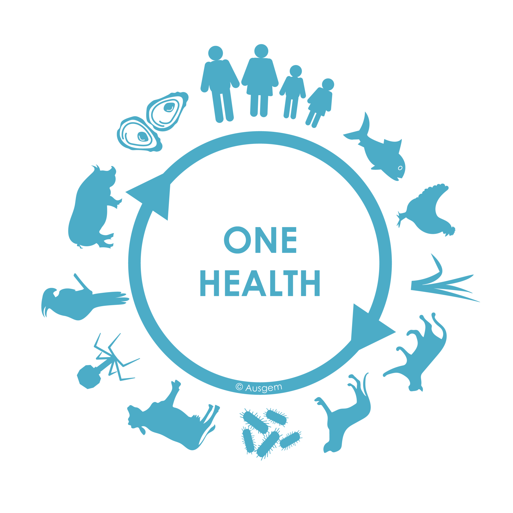 Why we need a One Health approach for the surveillance of drug-resistant bacteria