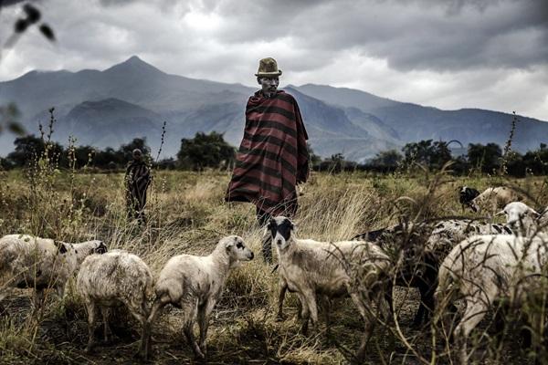Engagement communautaire, gage de réussite de l’approche OH,  pour une meilleure sécurité sanitaire 