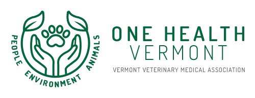 Tick ID Workshops for Veterinarians