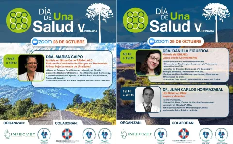 Pre - Jornadas V versión One Health - Una Salud