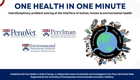 One Health in One Minute Flash Talks