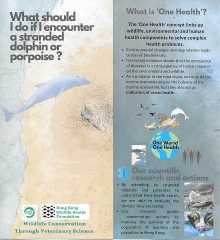 Raising Awareness on Marine Wildlife and One Health in Hong Kong