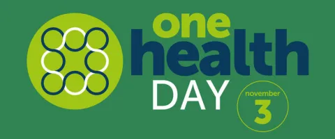 Khazar University World One Health Day Event - Caring for the Environment