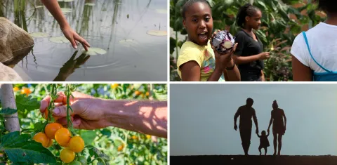 One Health One Planet