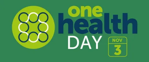Vector Borne Illnesses - Kansas City One Health Day