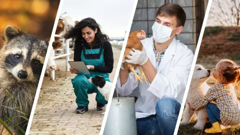 University of Guelph Centre for Public Health and Zoonoses (CPHAZ) Symposium 2024 on One Health, Public Health & Vet Med Topics