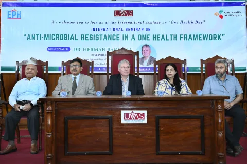 Antimicrobial Resistance in One Health Framework